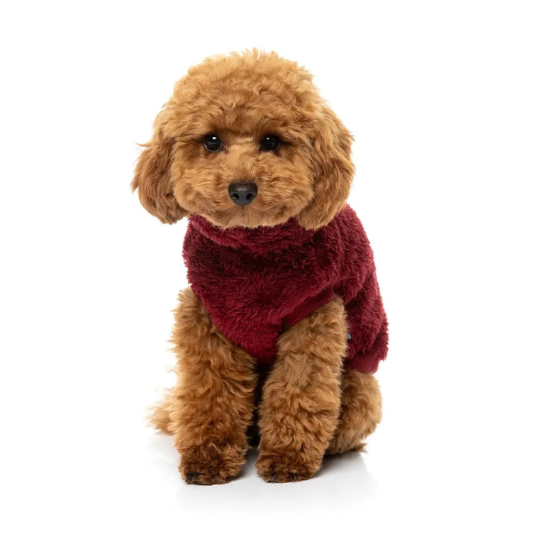 FuzzYard | Turtle Teddy Sweater - Maroon