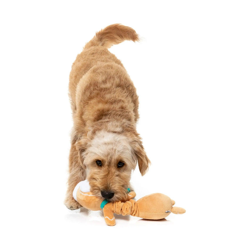 FuzzYard | Veronecka The Gingerbread Dog Toy-FuzzYard-Love My Hound