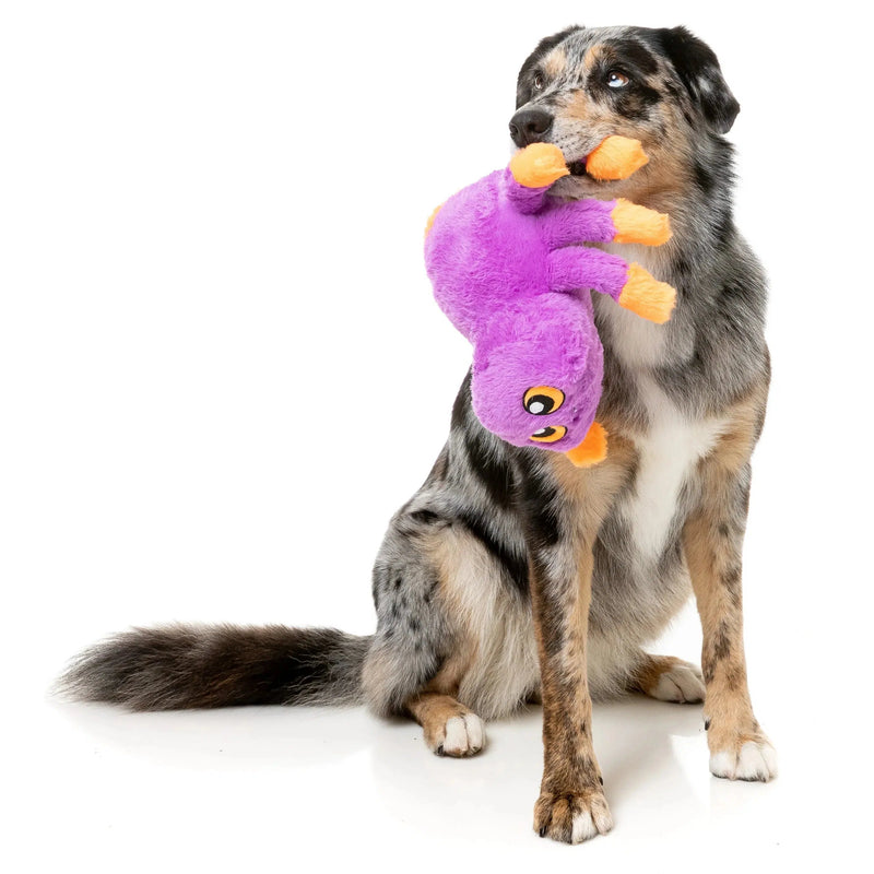 FuzzYard | Weborah The Spider - Halloween Plush Dog Toy-FuzzYard-Love My Hound