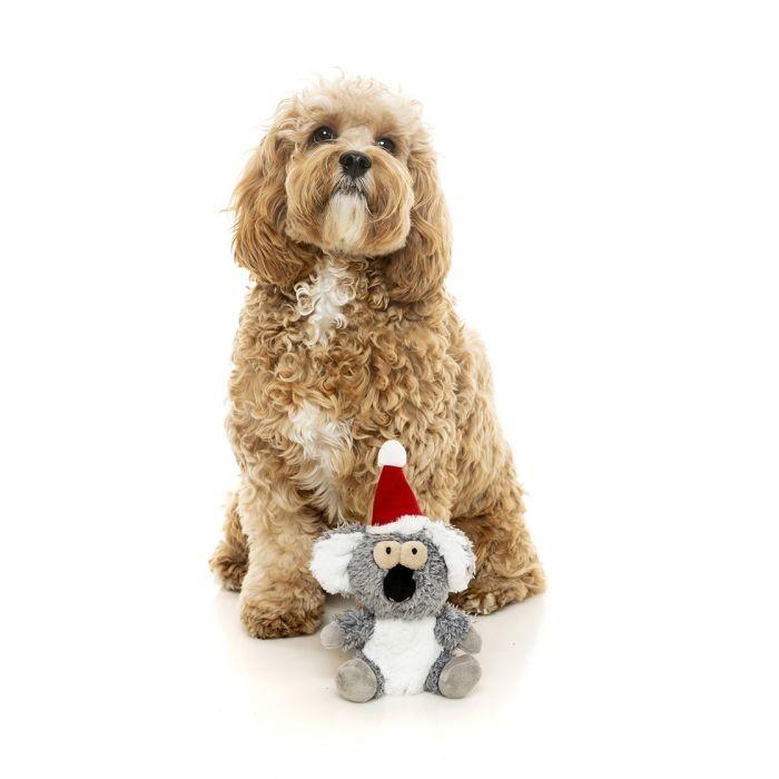 Fuzzyard | Christmas Kana the Koala-FuzzYard-Love My Hound