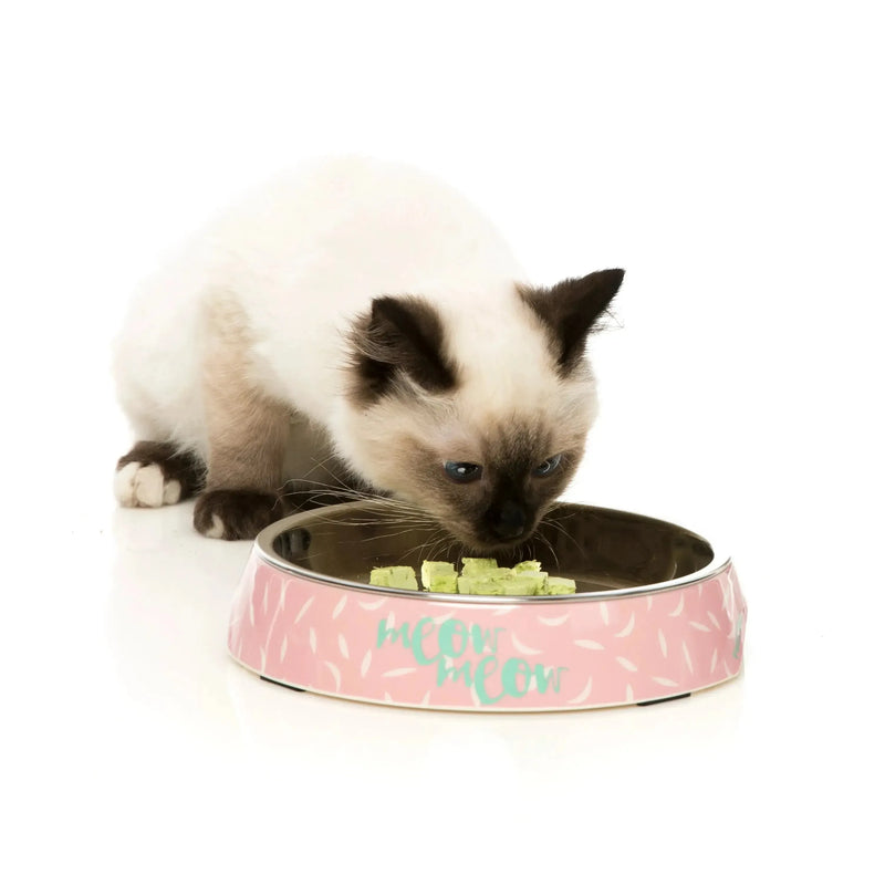 Fuzzyard | Featherstorm - Cat Bowl-FuzzYard-Love My Hound