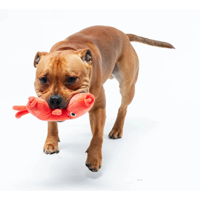Fuzzyard | Meat Heads Pepper-Toni - Dog Toy-FuzzYard-Love My Hound