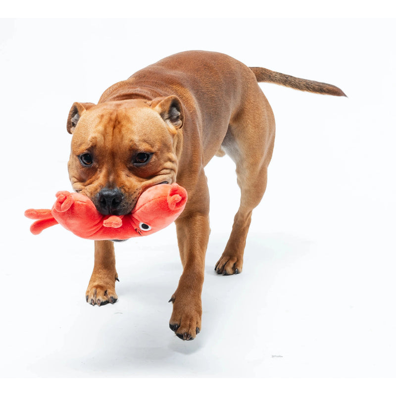 Fuzzyard | Meat Heads Pepper-Toni - Dog Toy-FuzzYard-Love My Hound