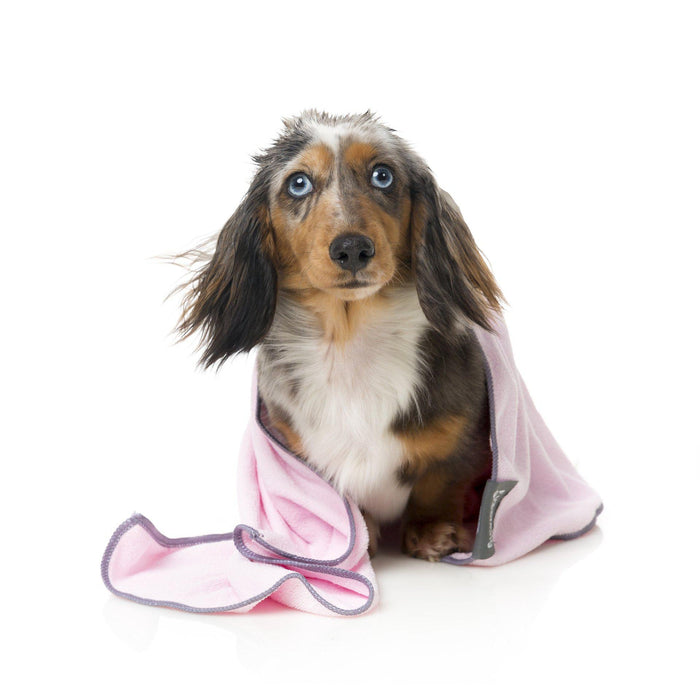 Fuzzyard | Microfibre Drying Towel For Puppies - Pink With Grey Trim-FuzzYard-Love My Hound