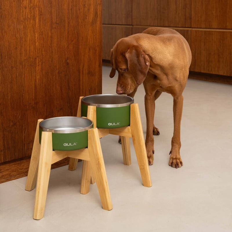 GULA | Double walled and insulated - Olive Green Dog Bowl-GULA-Love My Hound