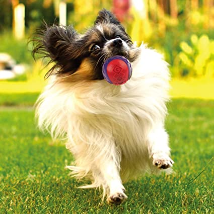 GiGwi - Squeaker Ball Dog Toy - 3pk-GiGwi-Love My Hound
