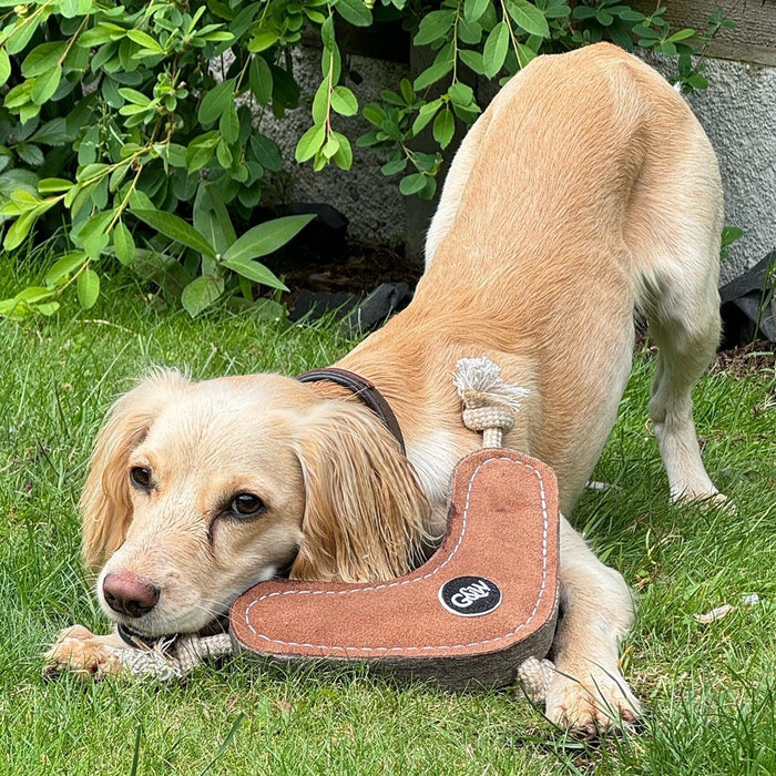 Green & Wilds | Benny the Boomerang - Eco Dog Toy-Green & Wilds-Love My Hound
