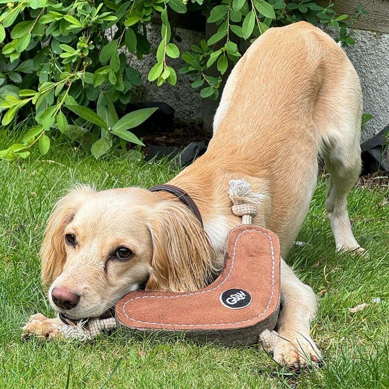 Green & Wilds | Benny the Boomerang - Eco Dog Toy-Green & Wilds-Love My Hound