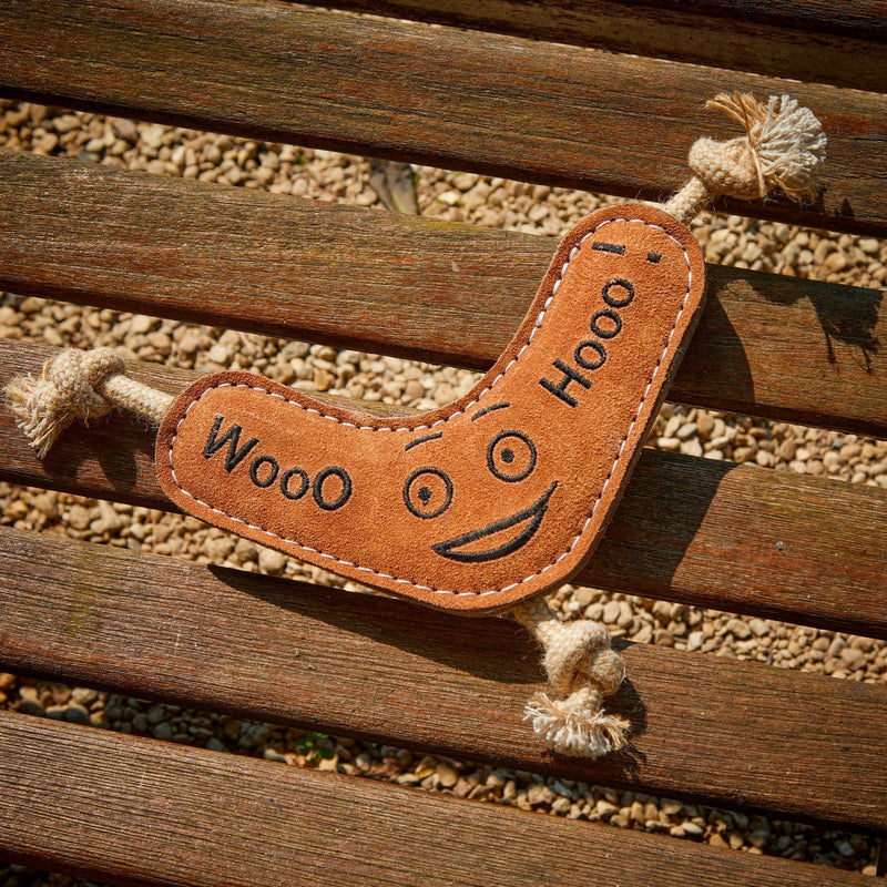 Green & Wilds | Benny the Boomerang - Eco Dog Toy-Green & Wilds-Love My Hound