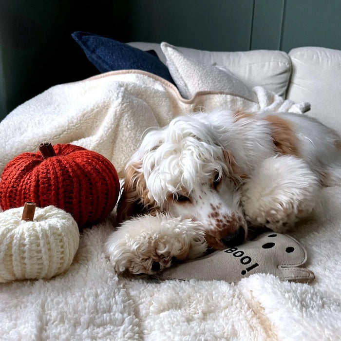 Green & Wilds | Boo Hoo Ghost, Eco Dog Toy-Green & Wilds-Love My Hound