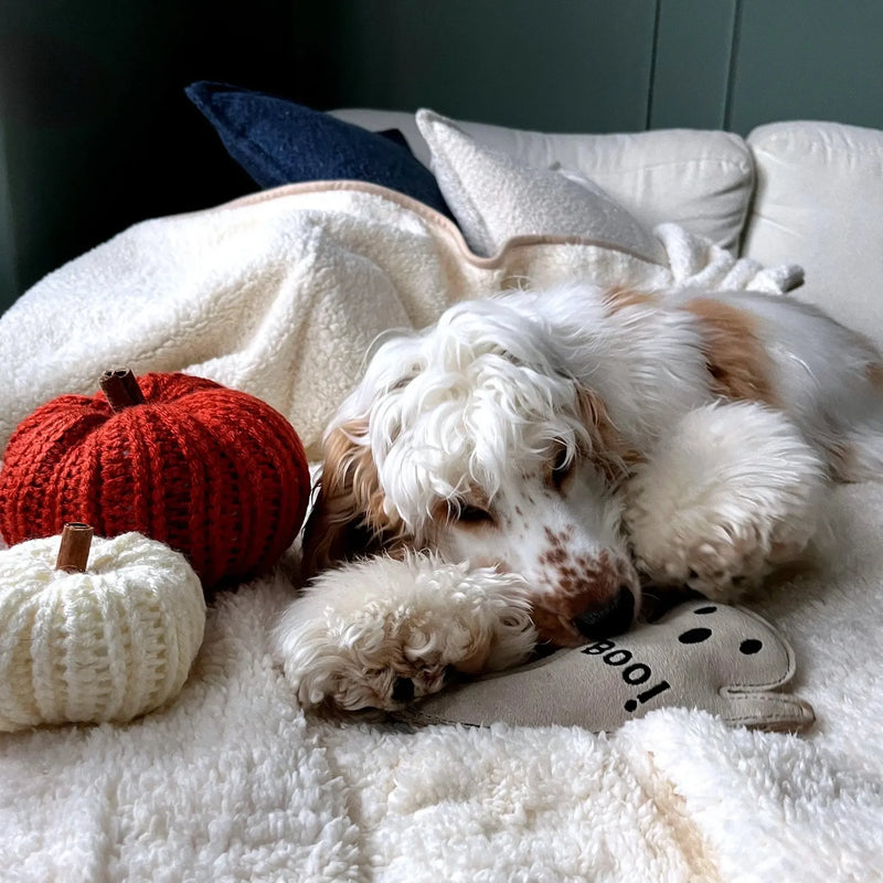 Green & Wilds | Boo Hoo Ghost, Eco Dog Toy-Green & Wilds-Love My Hound