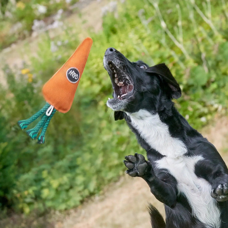 Green & Wilds | Candice the Carrot - Eco Dog Toy-Green & Wilds-Love My Hound