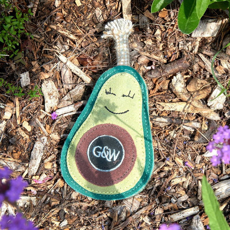 Green & Wilds - Eco Dog Toy - Audrey the Avacado-Green & Wilds-Love My Hound