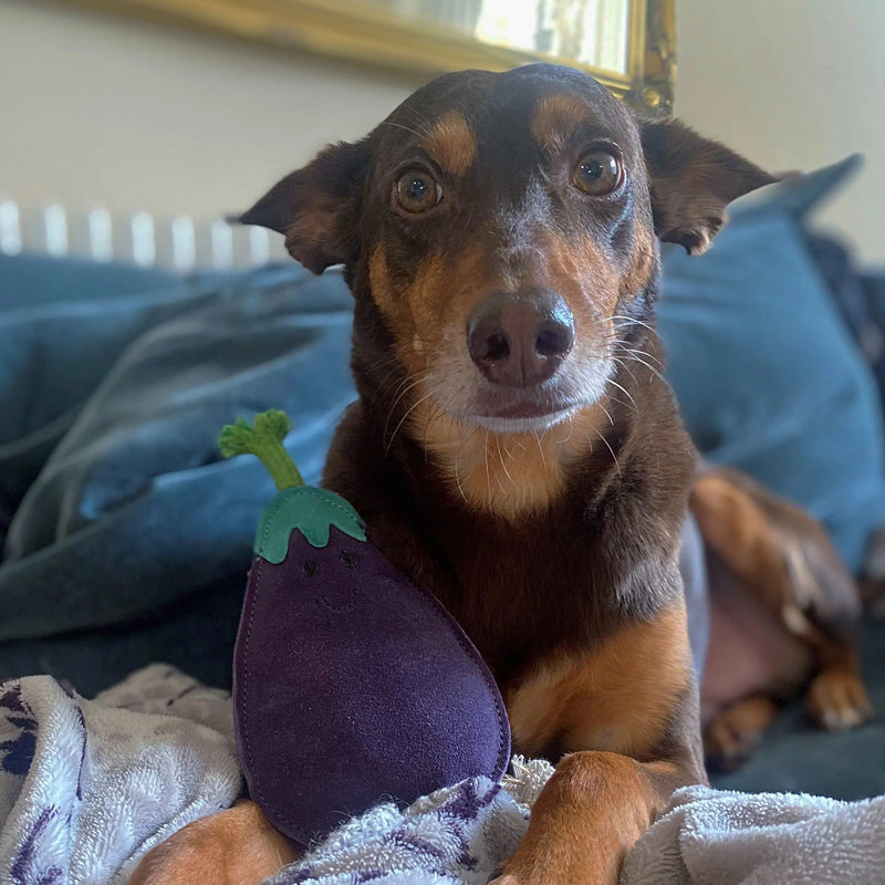 Green & Wilds | Eco Dog Toy - Austin the Aubergine-Green & Wilds-Love My Hound