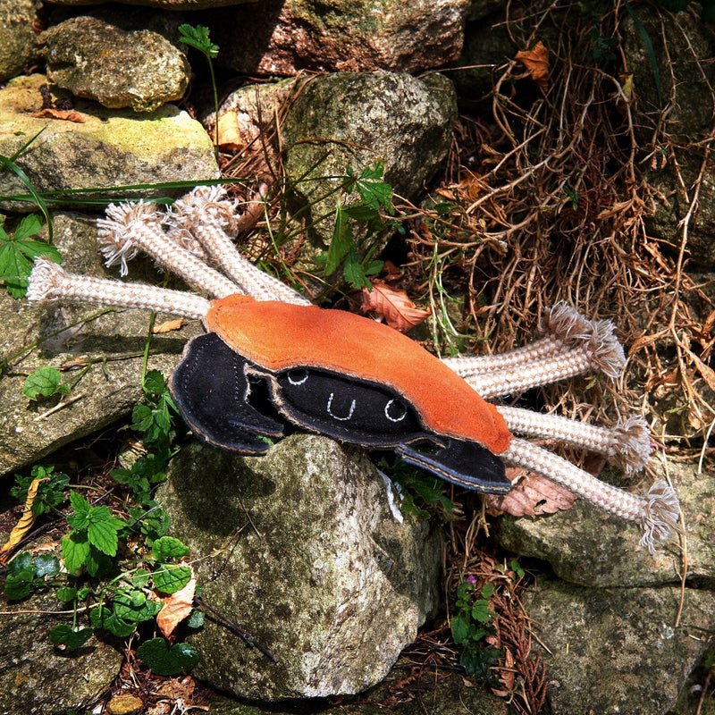 Green & Wilds | Eco Dog Toy - Carlos the Crab-Green & Wilds-Love My Hound