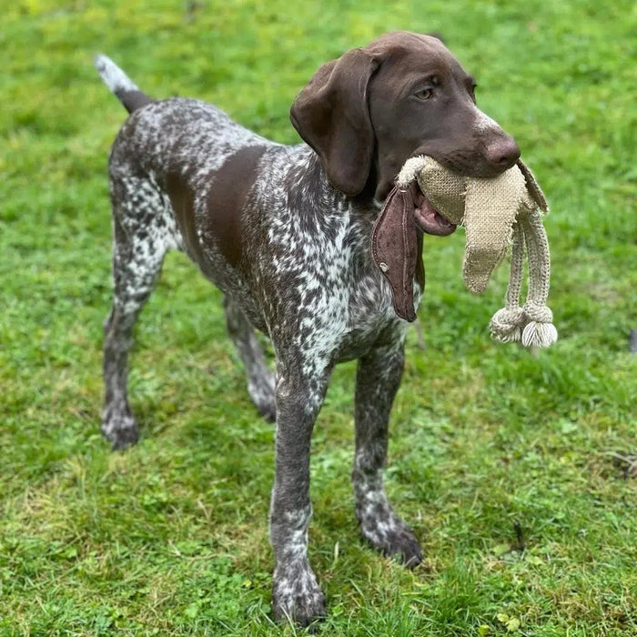 Green & Wilds | Eco Dog Toy - Desmond The Duck-Green & Wilds-Love My Hound
