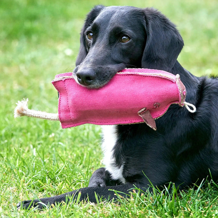 Green & Wilds | Eco Dog Toy - Peggy the Pig-Green & Wilds-Love My Hound