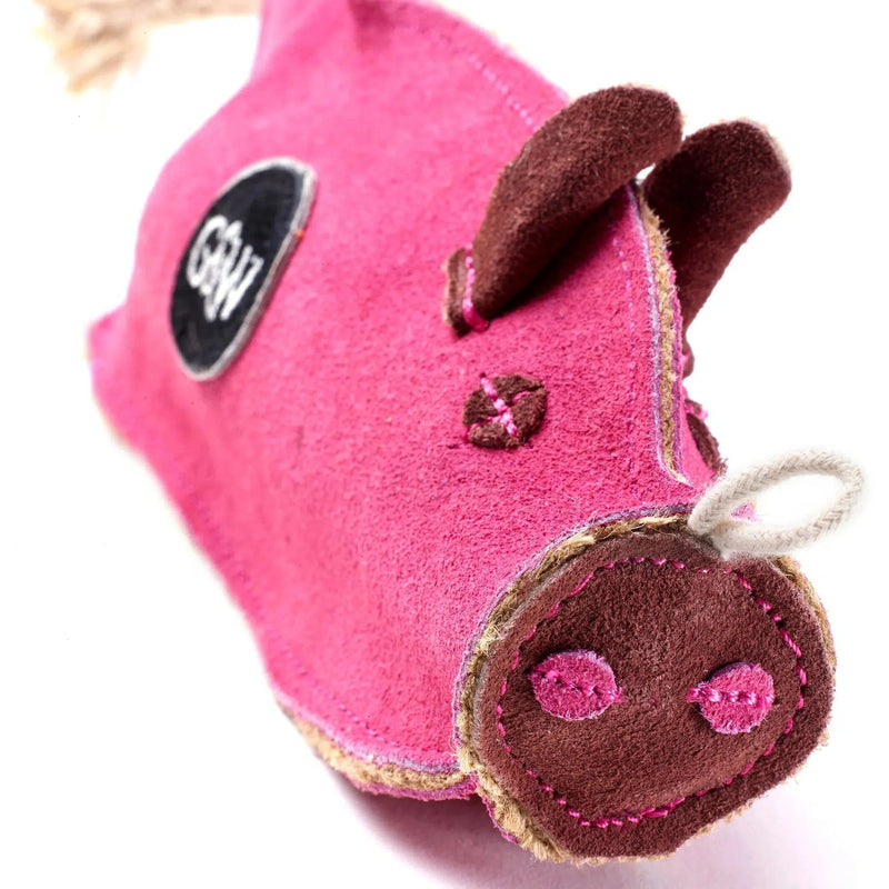 Green pig dog toy online