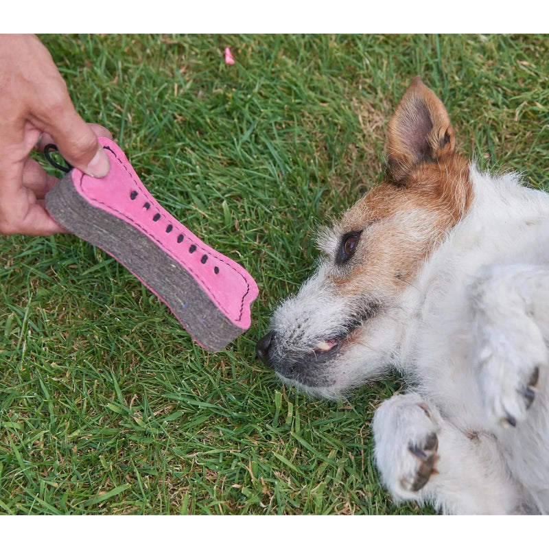 Green & Wilds - Eco Dog Toy - Pink Bone-Green & Wilds-Love My Hound
