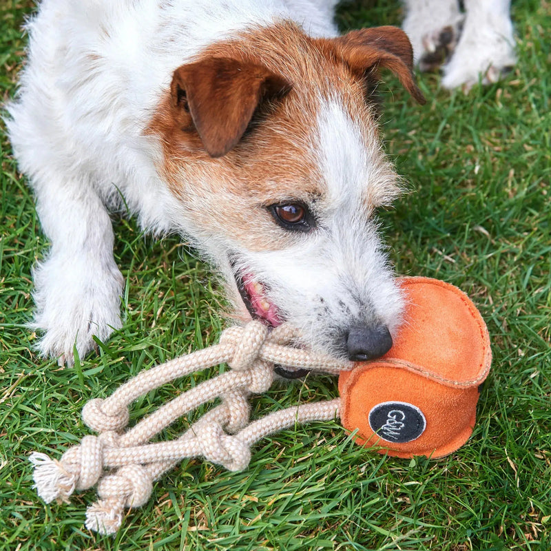Green & Wilds | Eco Dog Toy - Sid the Squid-Green & Wilds-Love My Hound