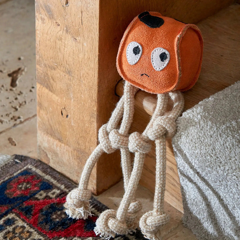 Green & Wilds | Eco Dog Toy - Sid the Squid-Green & Wilds-Love My Hound
