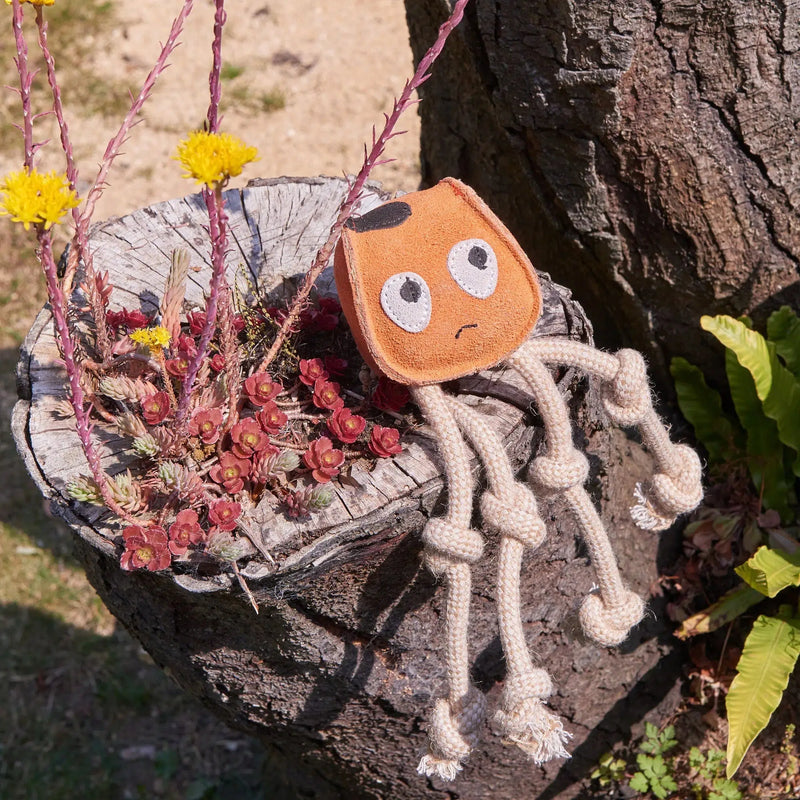 Green & Wilds | Eco Dog Toy - Sid the Squid-Green & Wilds-Love My Hound