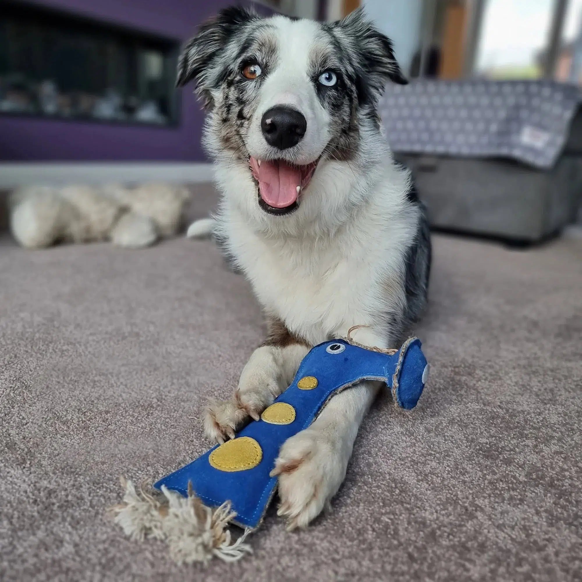 Green Wilds Eco Dog Toy Smorg from the Green Planet Love