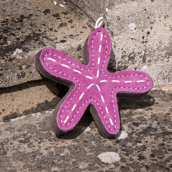 Green & Wilds | Eco Dog Toy - Stanley Starfish-Green & Wilds-Love My Hound