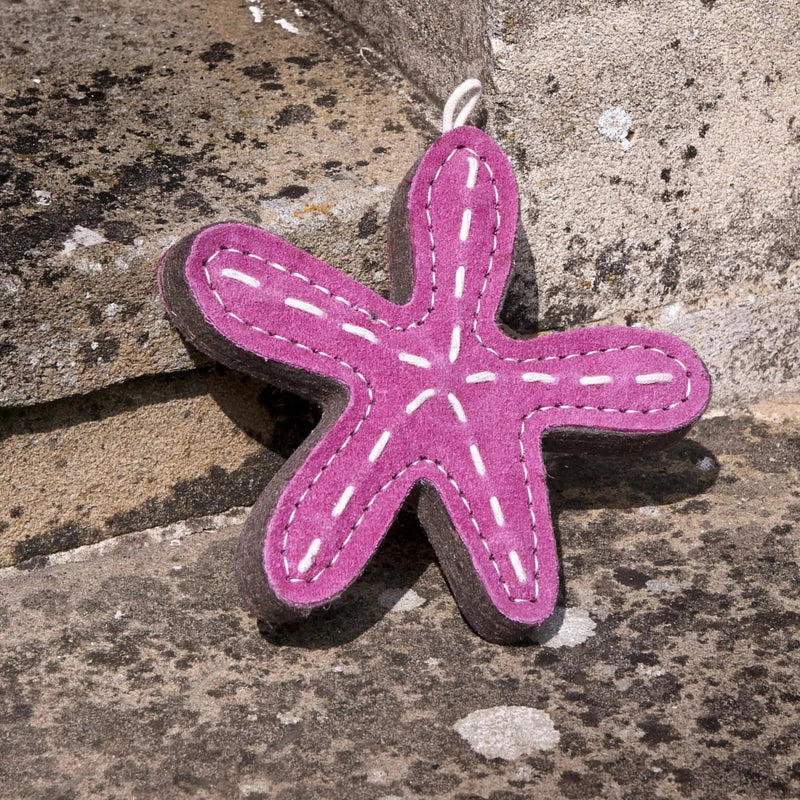 Green & Wilds | Eco Dog Toy - Stanley Starfish-Green & Wilds-Love My Hound