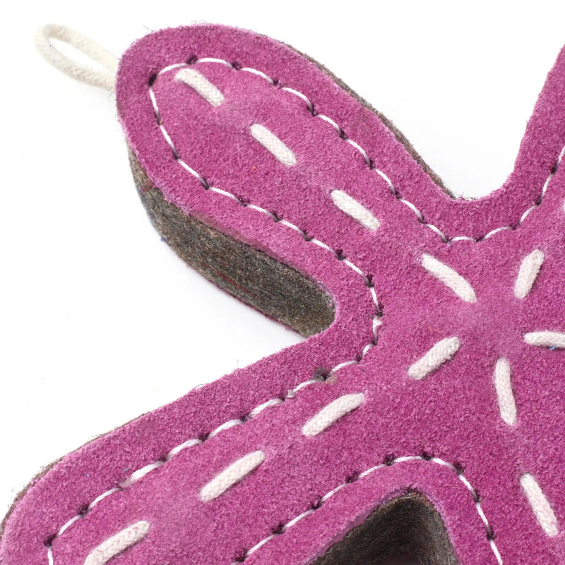 Green & Wilds | Eco Dog Toy - Stanley Starfish-Green & Wilds-Love My Hound