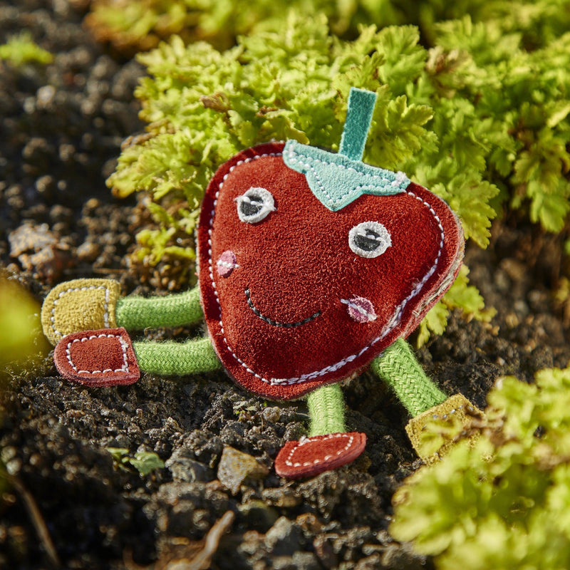 Green & Wilds | Eco Dog Toy - Steve the Strawberry-Green & Wilds-Love My Hound