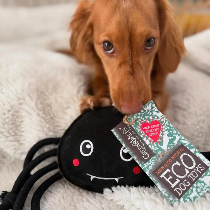 Green & Wilds | Fangus, Eco Dog Toy-Green & Wilds-Love My Hound