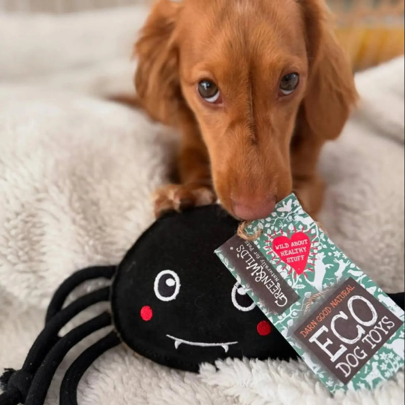 Green & Wilds | Fangus, Eco Dog Toy-Green & Wilds-Love My Hound