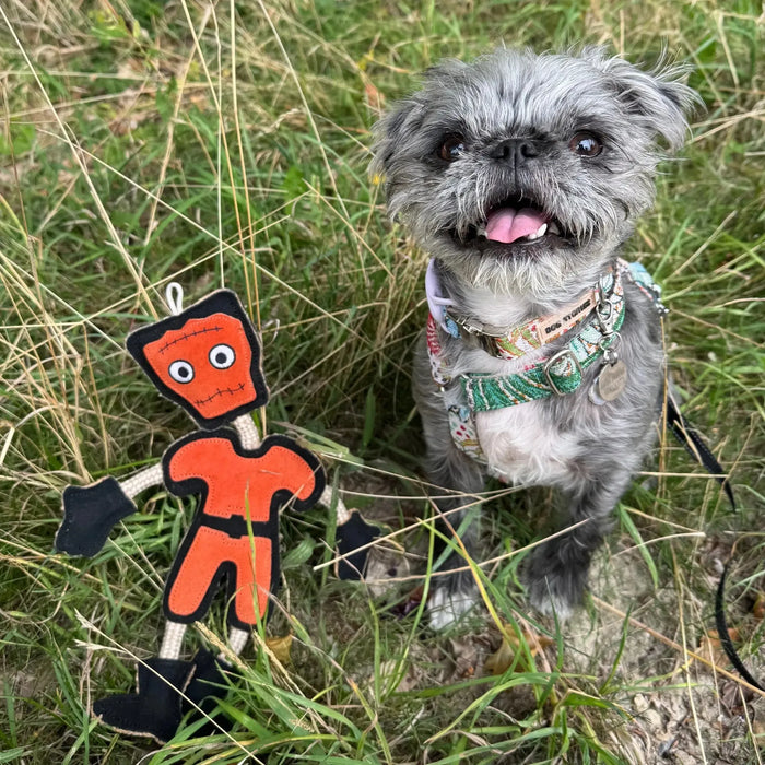 Green & Wilds | Frankie Stein, Eco Dog Toy-Green & Wilds-Love My Hound