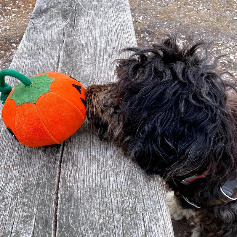 Green & Wilds | Patch the Pumpkin, Eco Dog Toy-Green & Wilds-Love My Hound
