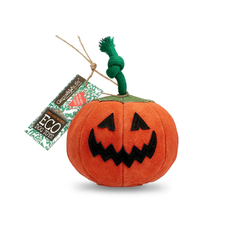 Green & Wilds | Patch the Pumpkin, Eco Dog Toy-Green & Wilds-Love My Hound