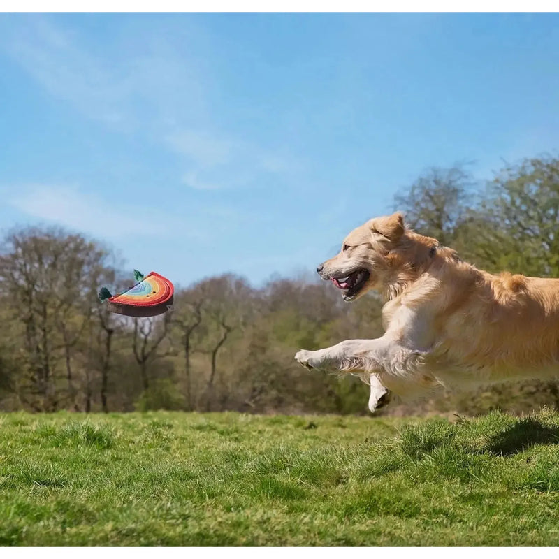 Green & Wilds | Rainbow Warrior, Eco Dog Toy-Green & Wilds-Love My Hound