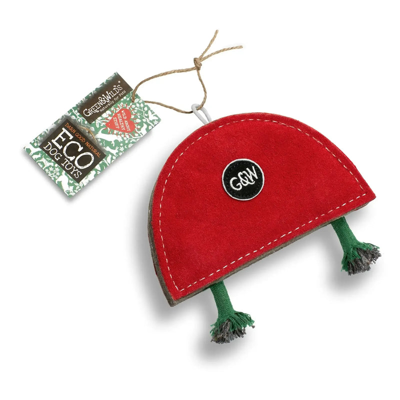 Green & Wilds | Rainbow Warrior, Eco Dog Toy-Green & Wilds-Love My Hound
