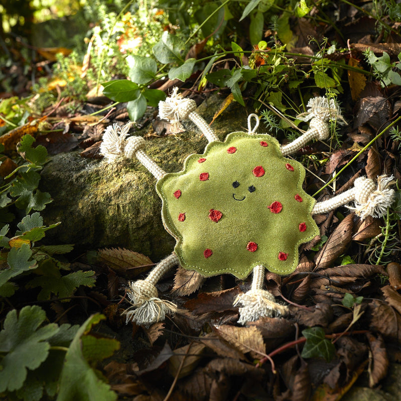 Green & Wilds | Splodge, Eco Dog Toy-Green & Wilds-Love My Hound