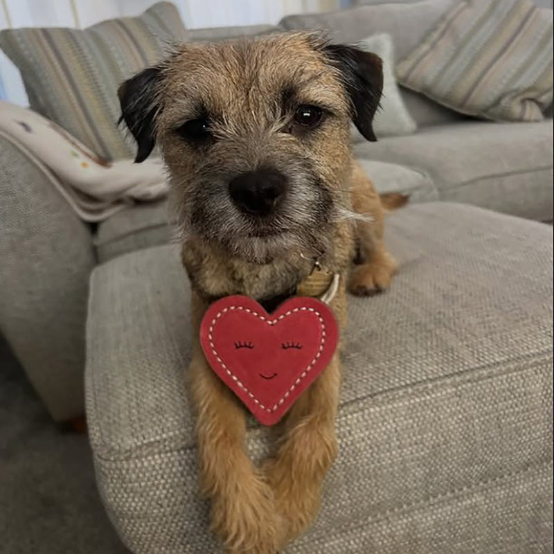 Green & Wilds | Tallulah Truelove, Heart Shape Eco Dog Toy-Green & Wilds-Love My Hound