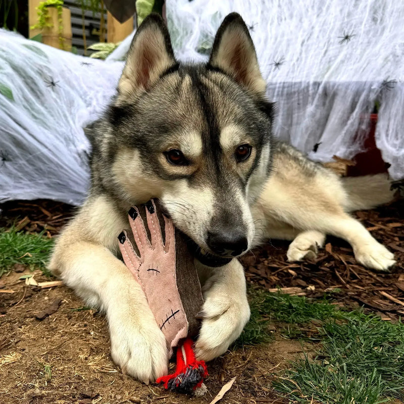 Green & Wilds | The Hand, Eco Dog Toy-Green & Wilds-Love My Hound