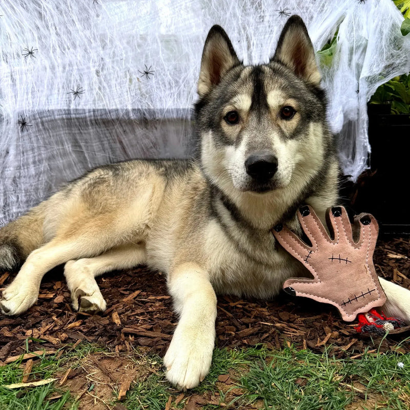 Green & Wilds | The Hand, Eco Dog Toy-Green & Wilds-Love My Hound