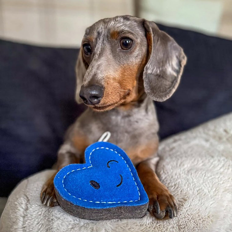 Green & Wilds | Timmy Truelove, Heart Shape Eco Dog Toy