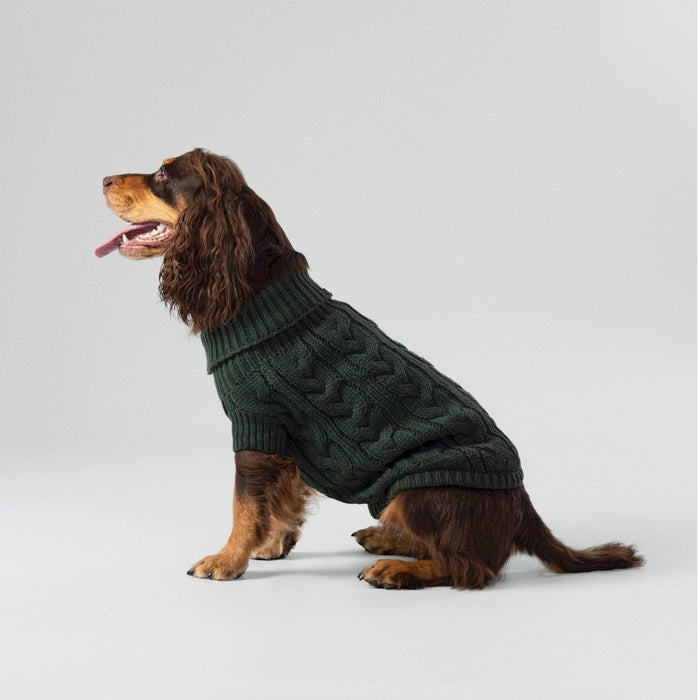 Hugo & Hudson | Hackett x Hugo Hudson Cable Knit Pullover Dog Jumper - Green-Hugo & Hudson-Love My Hound