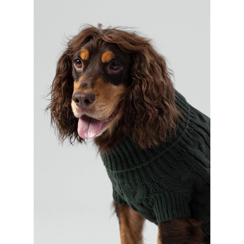 Hugo & Hudson | Hackett x Hugo Hudson Cable Knit Pullover Dog Jumper - Green-Hugo & Hudson-Love My Hound