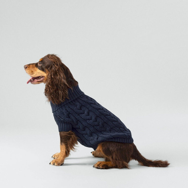 Hugo & Hudson | Hackett x Hugo Hudson Cable Knit Pullover Dog Jumper - Navy