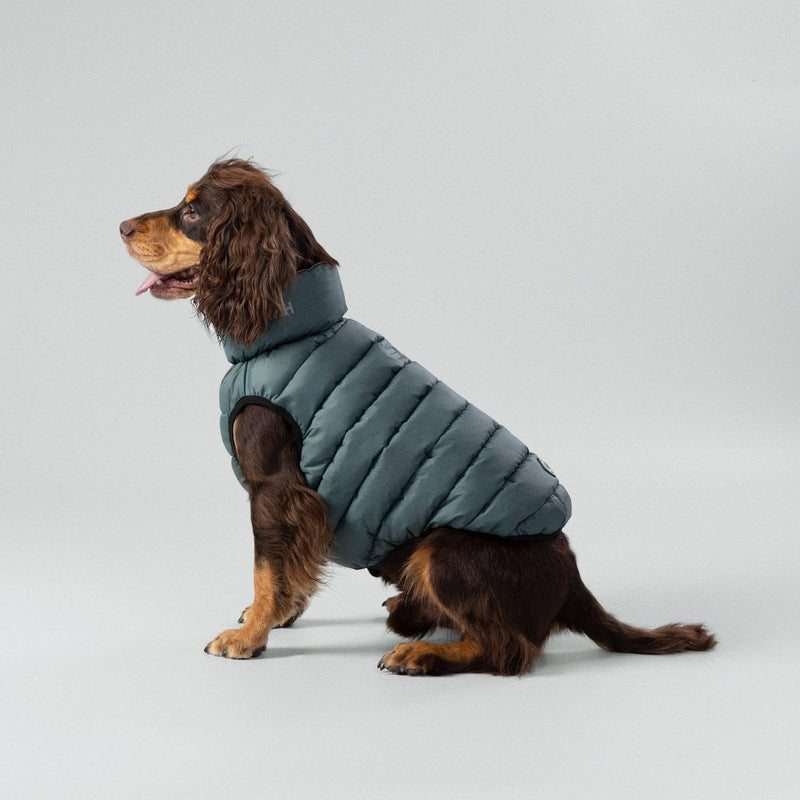 Hugo & Hudson | Hackett x Hugo Hudson Dog Puffer Jacket, Forest Green & Gold-Hugo & Hudson-Love My Hound