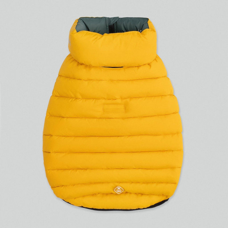 Hugo & Hudson | Hackett x Hugo Hudson Dog Puffer Jacket, Forest Green & Gold-Hugo & Hudson-Love My Hound