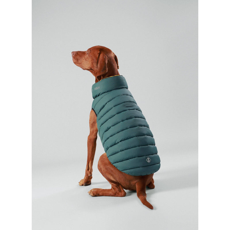 Hugo & Hudson | Hackett x Hugo Hudson Dog Puffer Jacket, Forest Green & Gold-Hugo & Hudson-Love My Hound