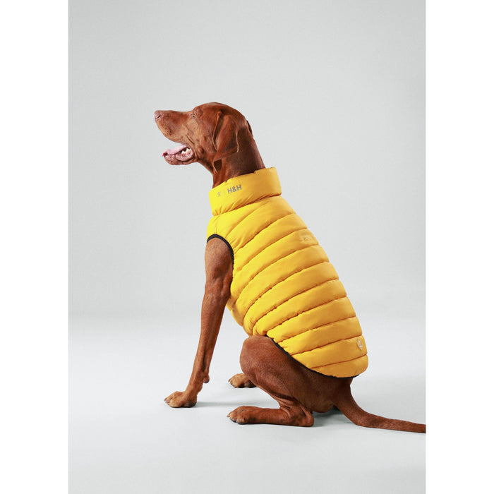 Hugo & Hudson | Hackett x Hugo Hudson Dog Puffer Jacket, Forest Green & Gold-Hugo & Hudson-Love My Hound